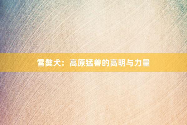 雪獒犬:高原猛兽的高明与力量