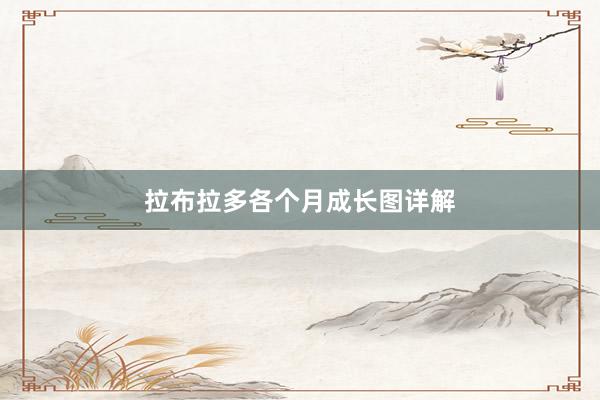 拉布拉多各个月成长图详解
